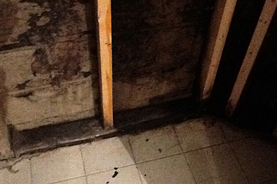 Basement with mold