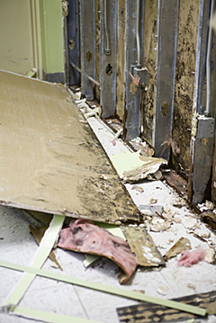 Photo of a basement wall partition with mold damage